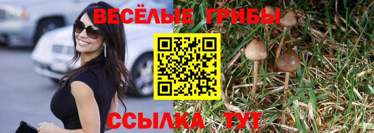 Псилоцибиновые грибы Magic Shrooms  Вход с VPN  Жигулёвск 